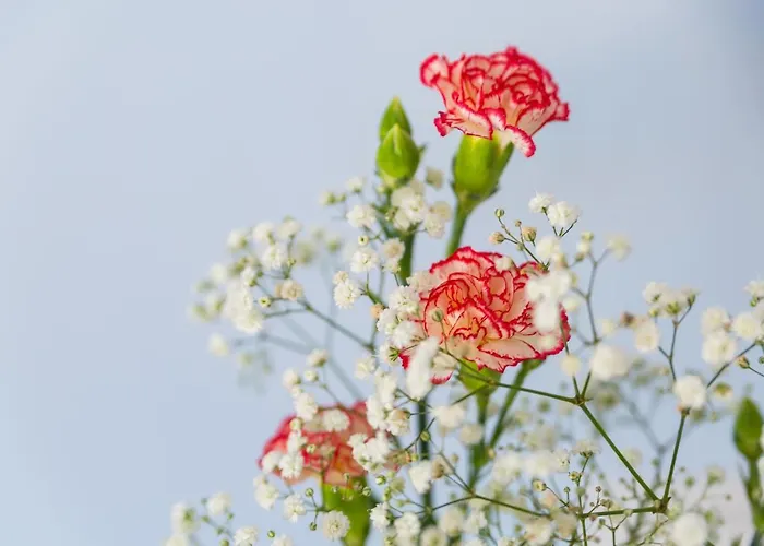 Bed and Breakfast Casa Ela Σορέντο