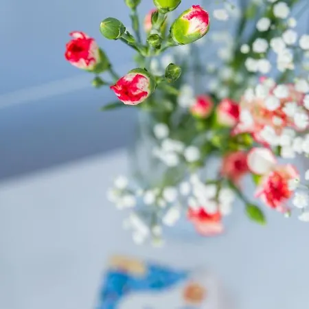 Casa Ela 4* Sorrente